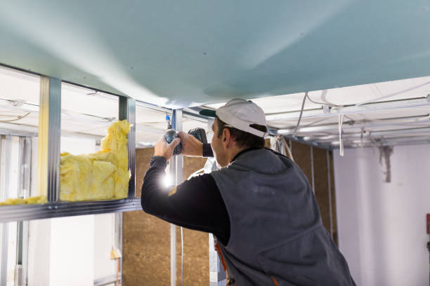Best Commercial Insulation in Rockford, MI